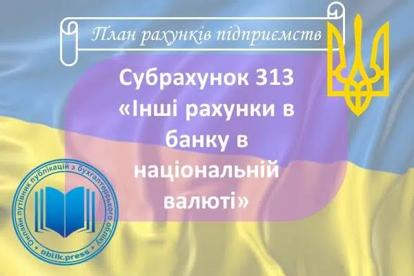 Субрахунок 313 "Інші рахунки в банку в національній валюті"