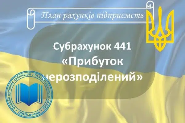 Субрахунок 441 "Прибуток нерозподілений"