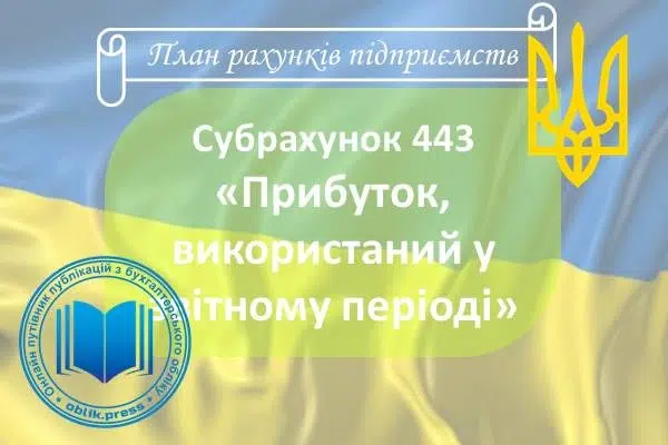 Субрахунок 443 "Прибуток, використаний у звітному періоді"