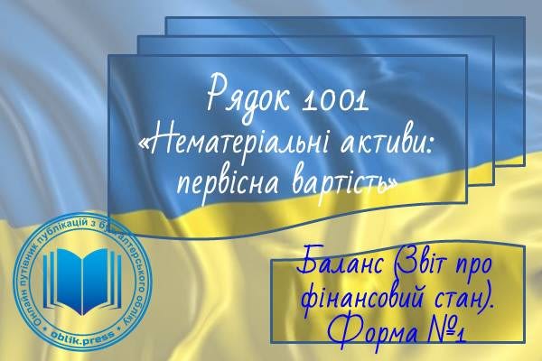 Рядок 1001 "Нематеріальні активи: первісна вартість"