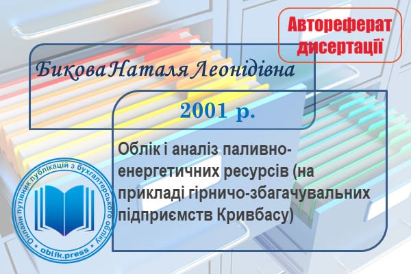 Облік і аналіз паливно-енергетичних ресурсів (на прикладі гірничо-збагачувальних підприємств Кривбасу)