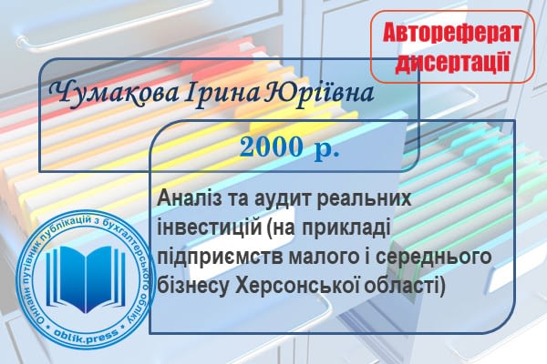 Аналіз та аудит реальних інвестицій (на прикладі підприємств малого і середнього бізнесу Херсонської області)