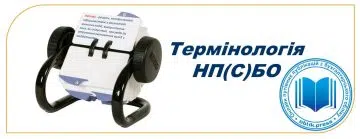 Термінологія НП(С)БО